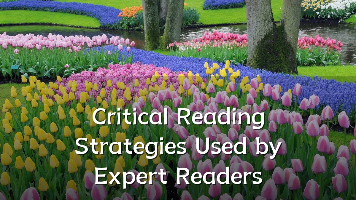 Critical Reading Strategies Used by Expert Readers