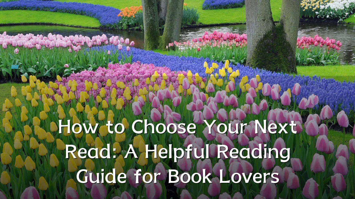 How to Choose Your Next Read: A Helpful Reading Guide for Book Lovers