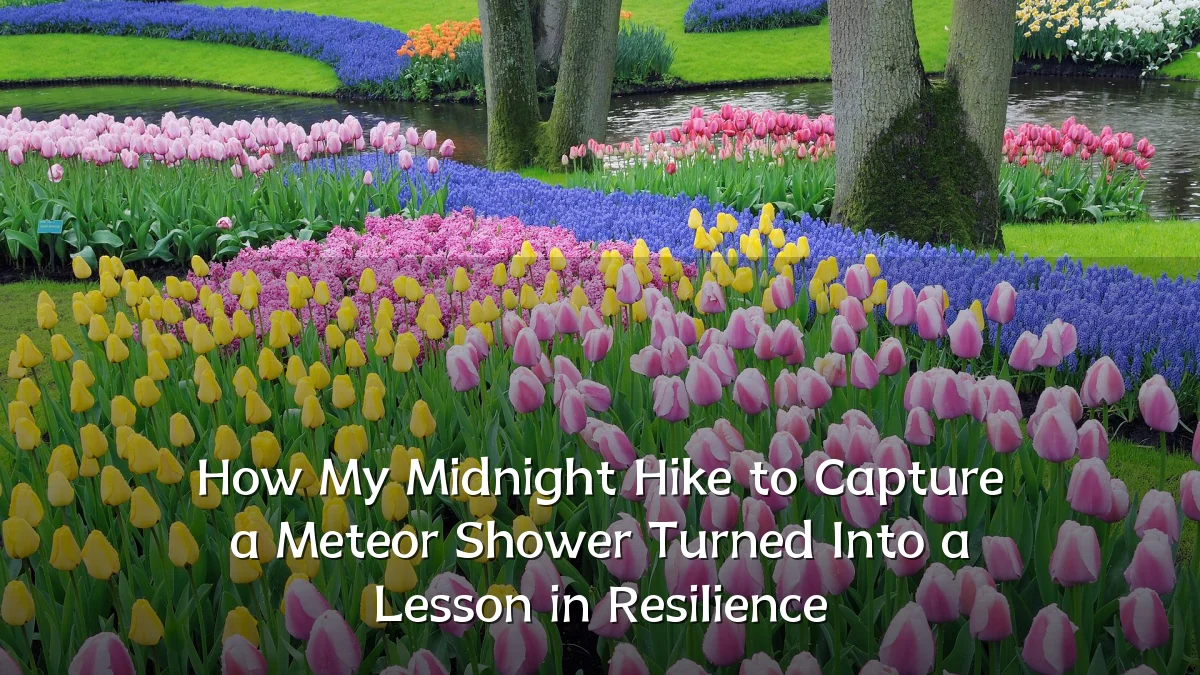 How My Midnight Hike to Capture a Meteor Shower Turned Into a Lesson in Resilience