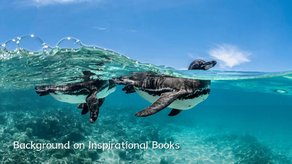 Background on Inspirational Books