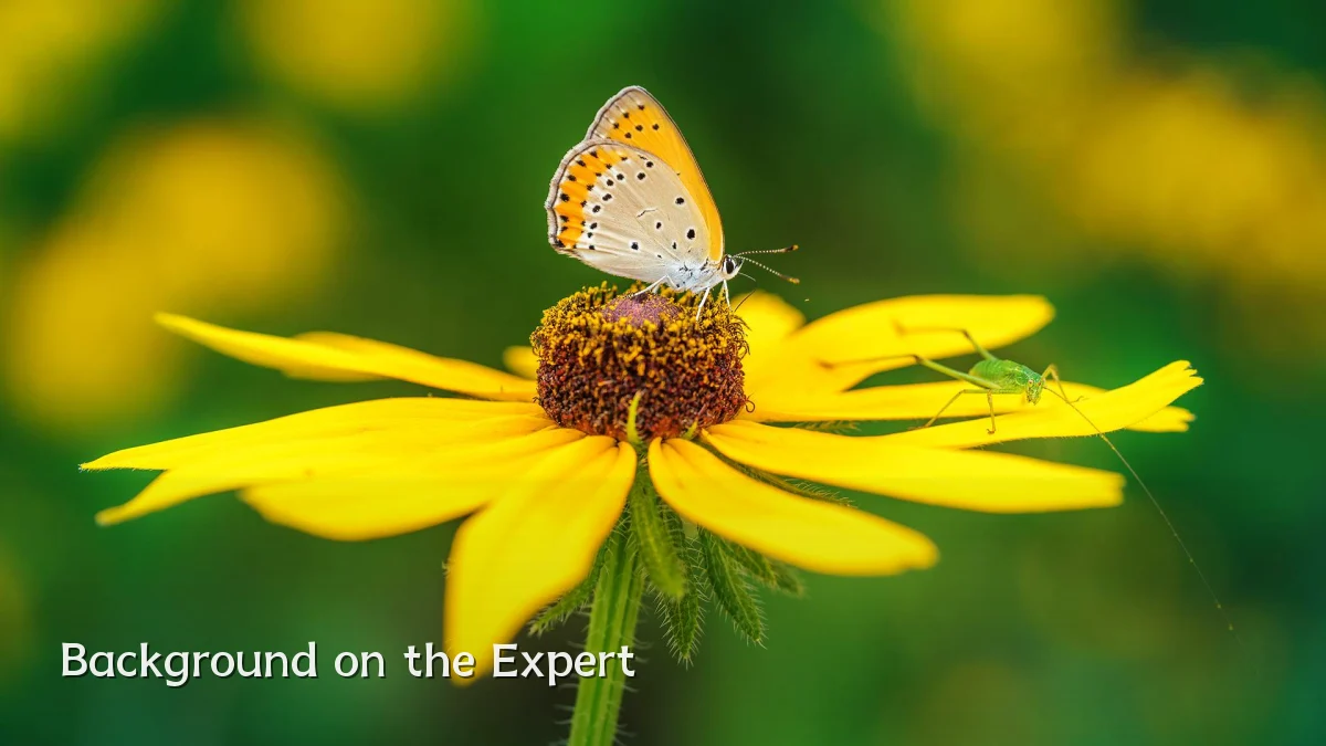 Background on the Expert