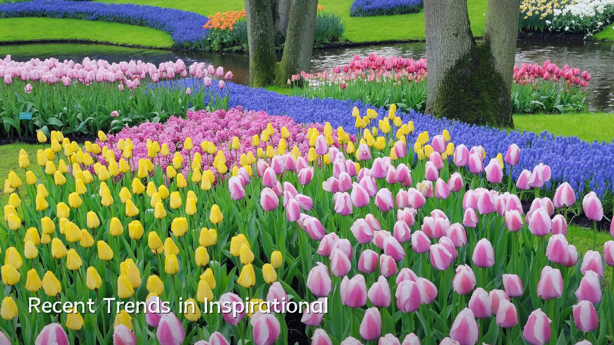 Recent Trends in Inspirational