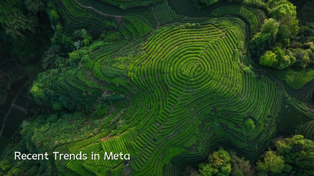 Recent Trends in Meta