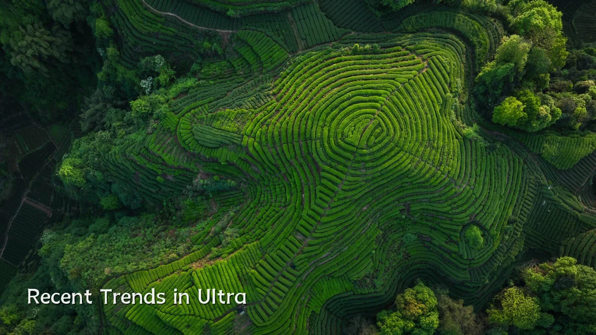 Recent Trends in Ultra