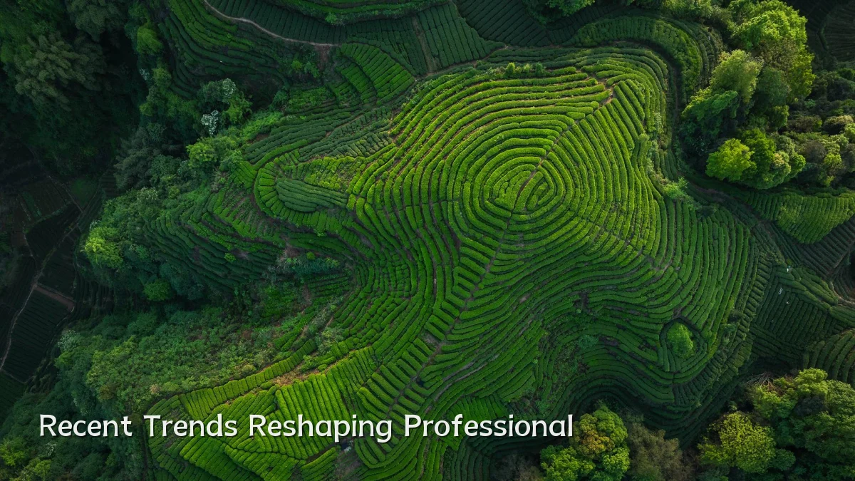 Recent Trends Reshaping Professional