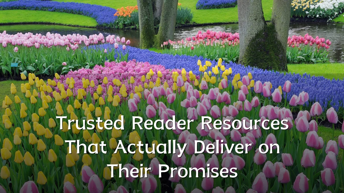 Trusted Reader Resources That Actually Deliver on Their Promises